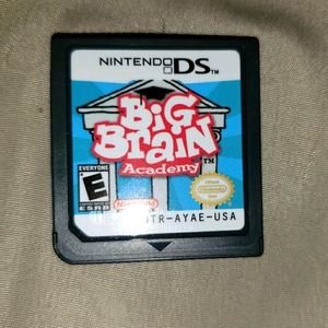 Nintendo DS Big Brain game